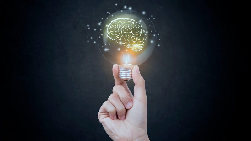 The Role of Emotional Intelligence in Leadership